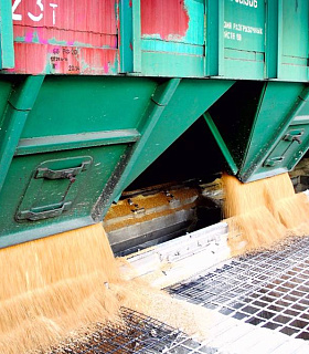 Развитие железнодорожной логистики в России ускоряет перевозку зерна