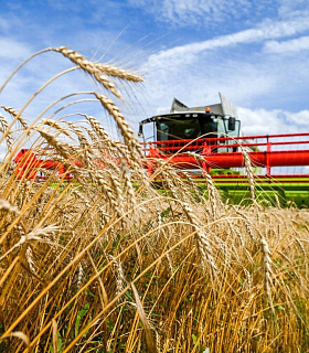 Урожай на репите: Россия снова почти обеспечила продовольственную безопасность