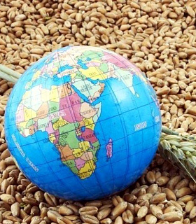 Урожайная география: рекорды в АПК